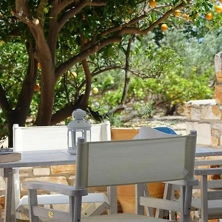 Flora Apartman Driósz