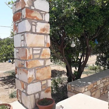 Flora Apartman Driósz