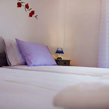 Flora Apartman Driósz