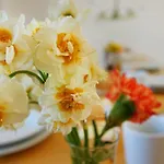 Flora Apartmán