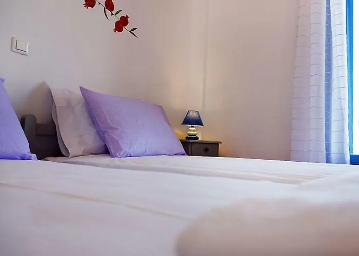 Flora Apartment Drios